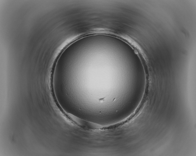 X0000113011333200909031306