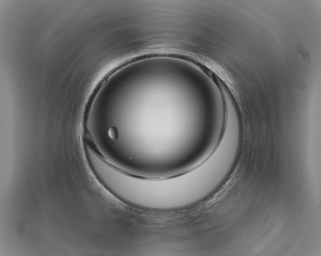 X0000113011334200909031306