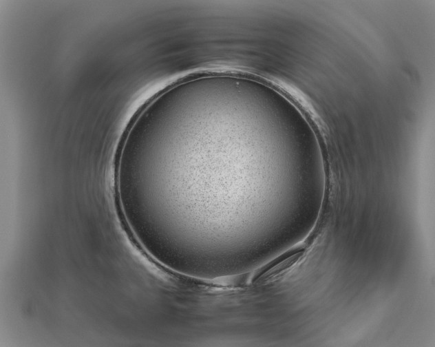 X0000113011335200909031306