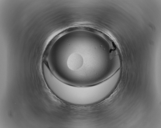 X0000113011336200909031306