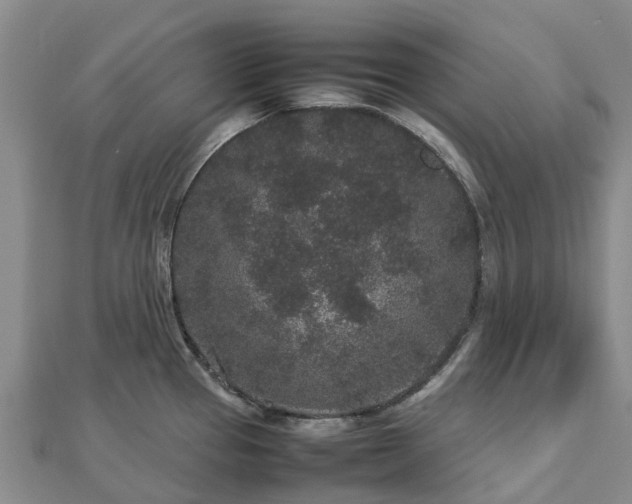 X0000113011337200909031306