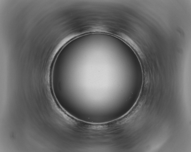 X0000113011339200909031306