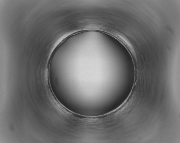 X0000113011340200909031306