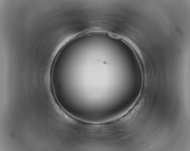 X0000113011341200909031306