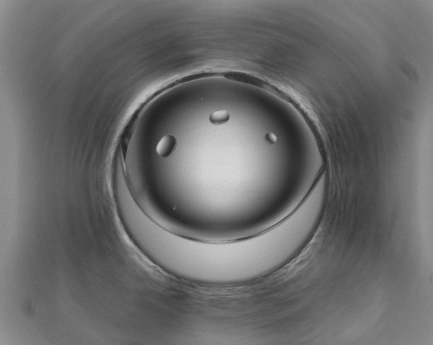 X0000113011342200909031306