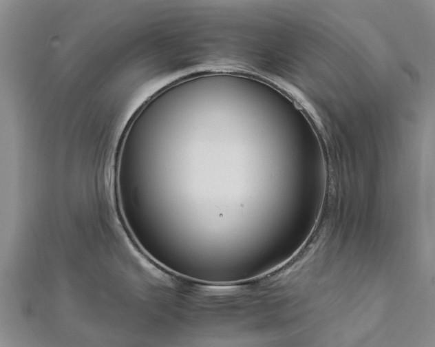 X0000113011343200909031306