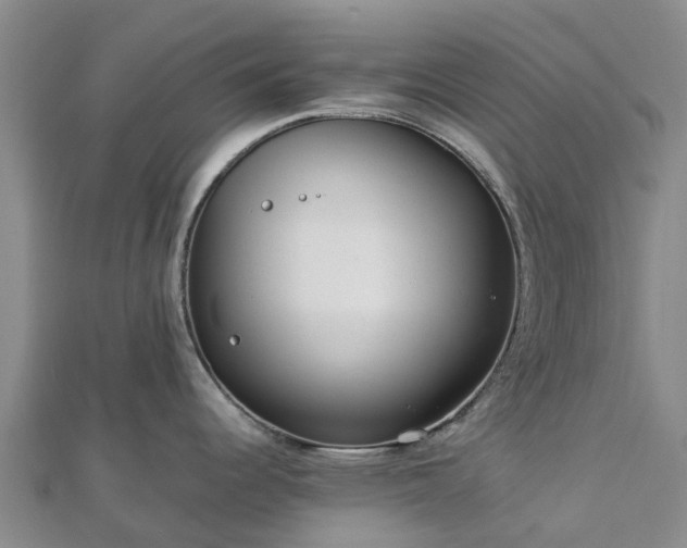 X0000113011344200909031306