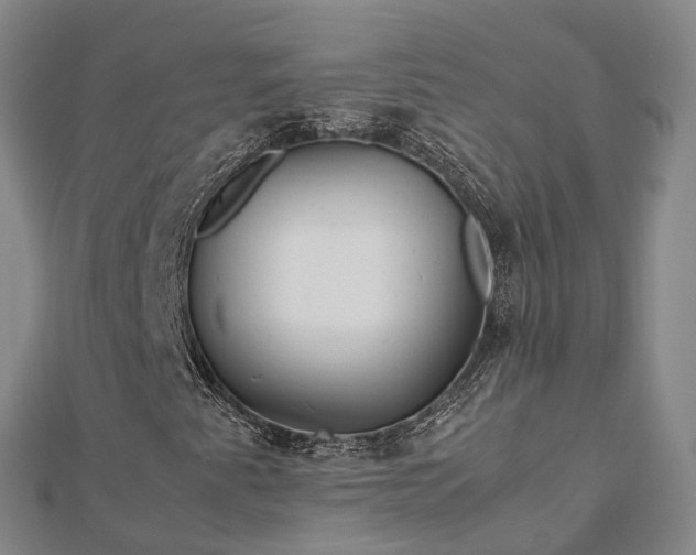 X0000113011345200909031305