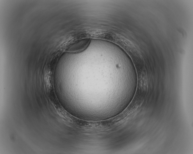 X0000113011346200909031305