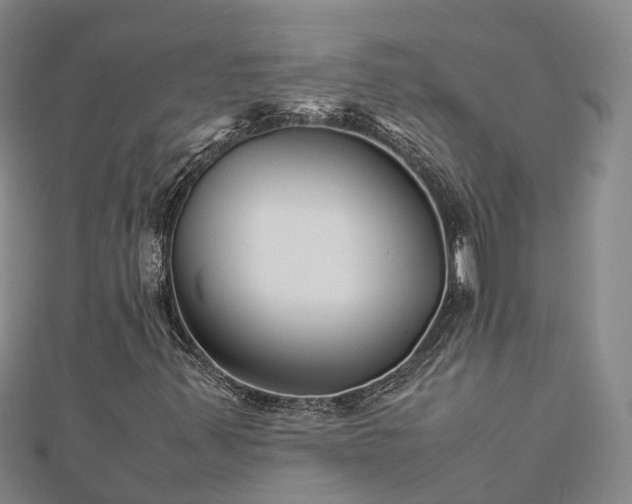 X0000113011347200909031305