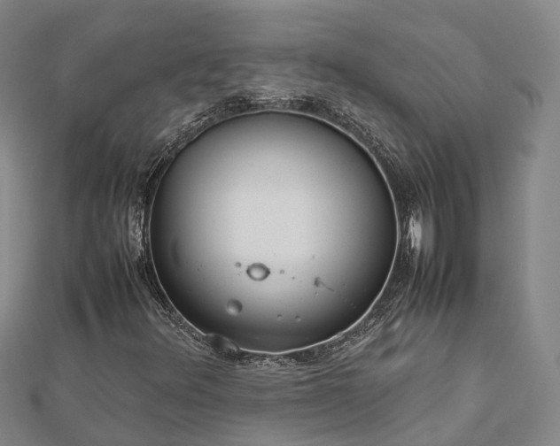 X0000113011348200909031305