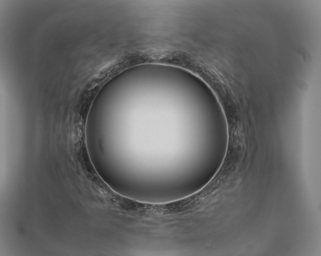 X0000113011349200909031305