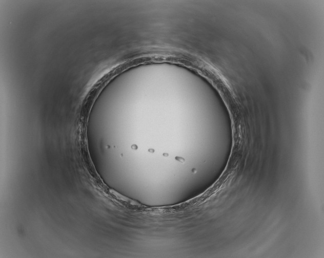 X0000113011352200909031305