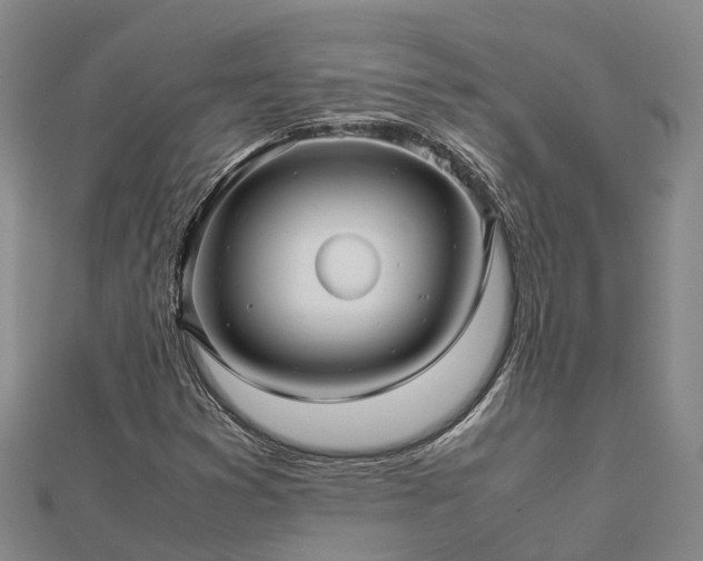 X0000113011353200909031305