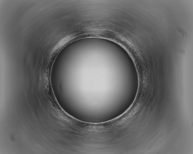 X0000113011354200909031305