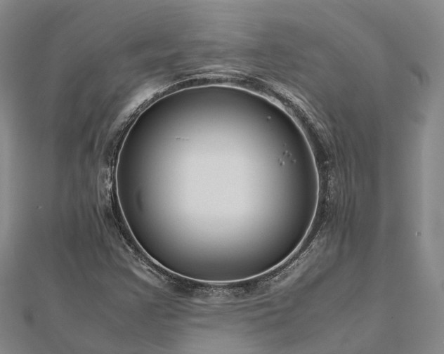 X0000113011355200909031305