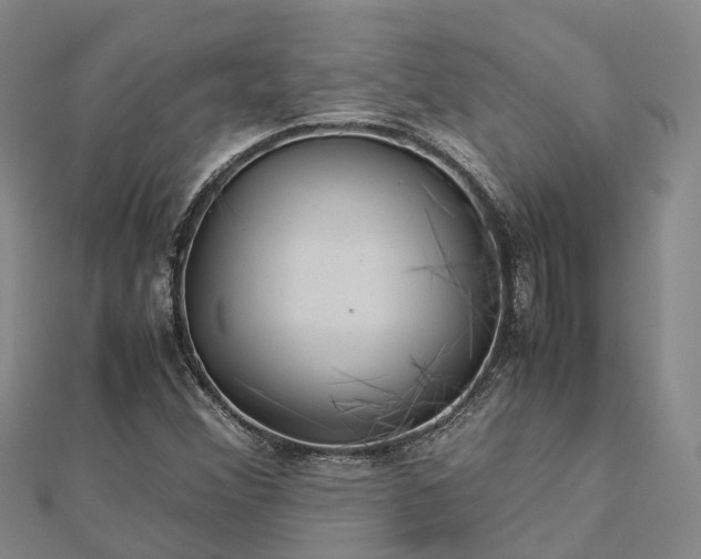 X0000113011356200909031305