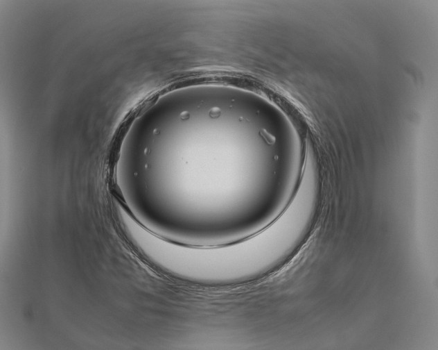 X0000113011357200909031305