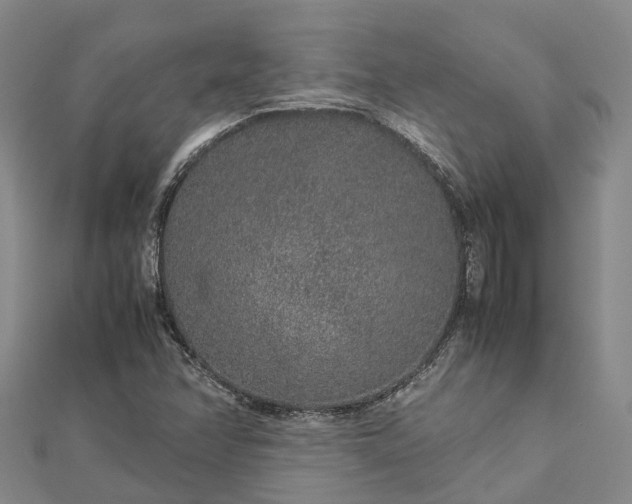 X0000113011358200909031305