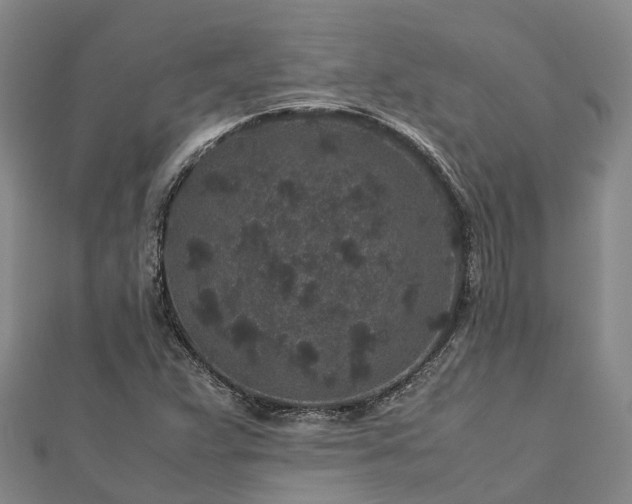 X0000113011359200909031305