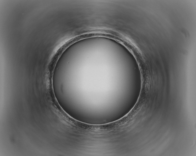 X0000113011360200909031305