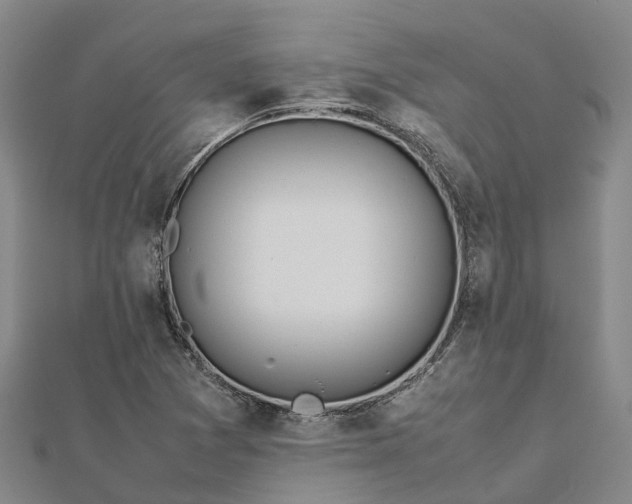 X0000113011361200909031305