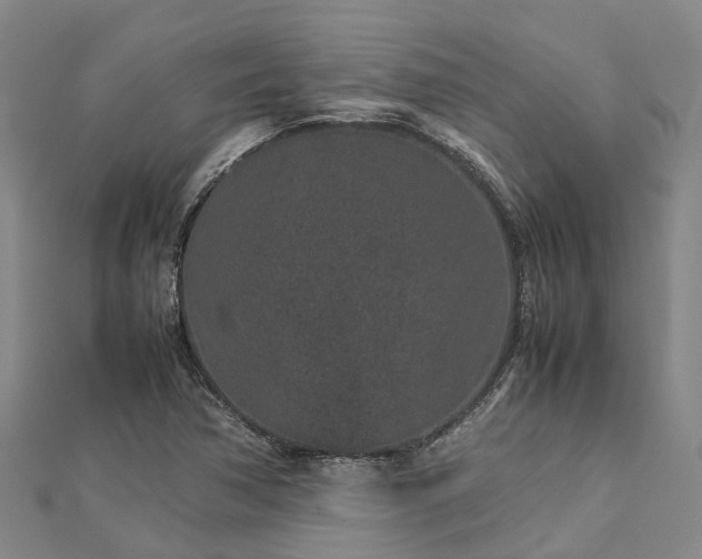 X0000113011362200909031305