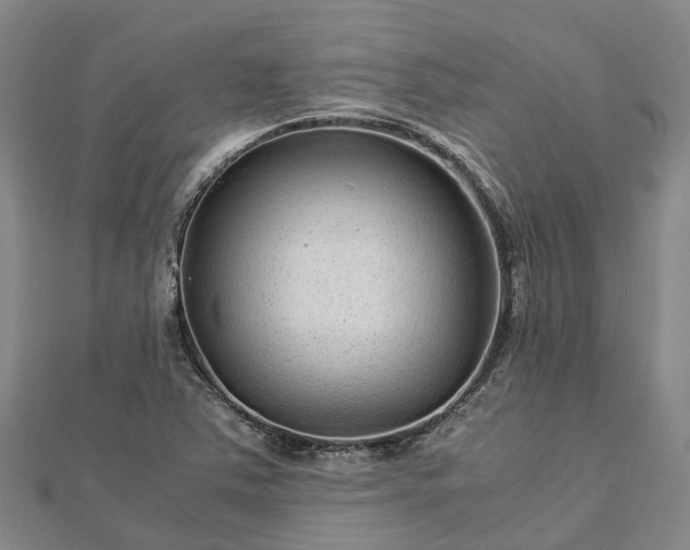 X0000113011363200909031305