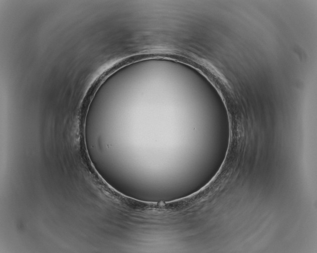 X0000113011364200909031305