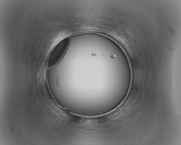 X0000113011365200909031305