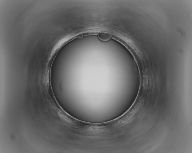 X0000113011366200909031305