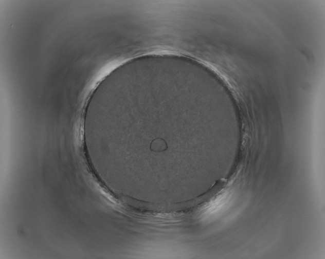 X0000113011367200909031305