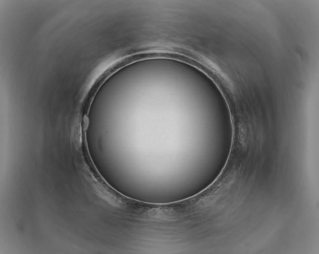 X0000113011368200909031305