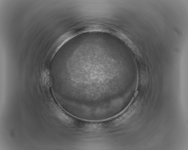 X0000113011369200909031305