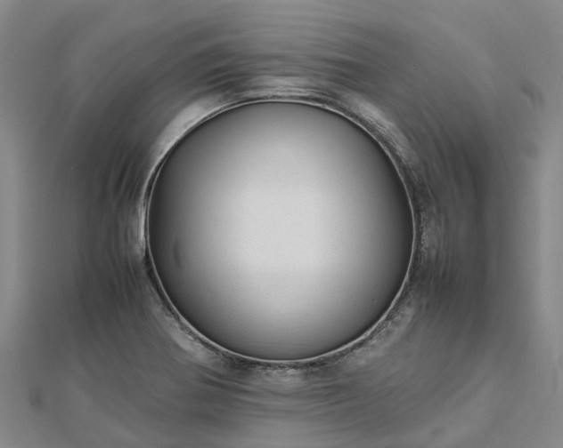 X0000113011370200909031305