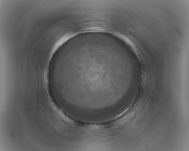 X0000113011373200909031305