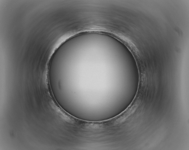 X0000113011374200909031305