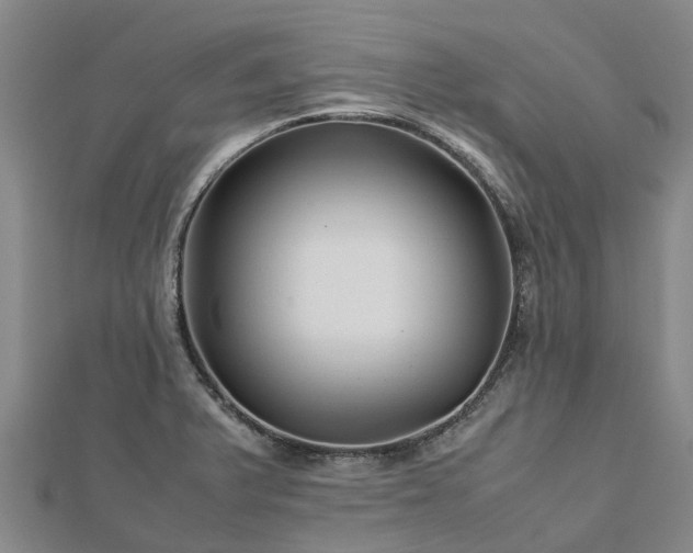 X0000113011375200909031305