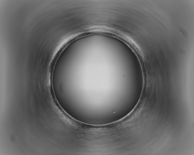 X0000113011376200909031305