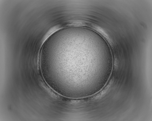 X0000113011378200909031305