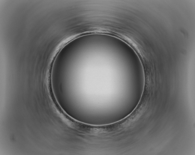 X0000113011379200909031305