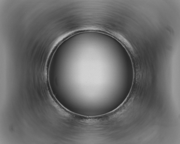 X0000113011380200909031305