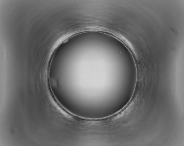 X0000113011381200909031305