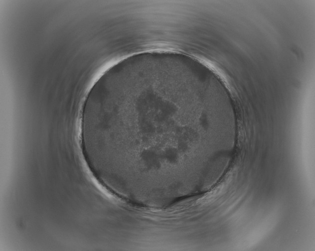 X0000113011383200909031305