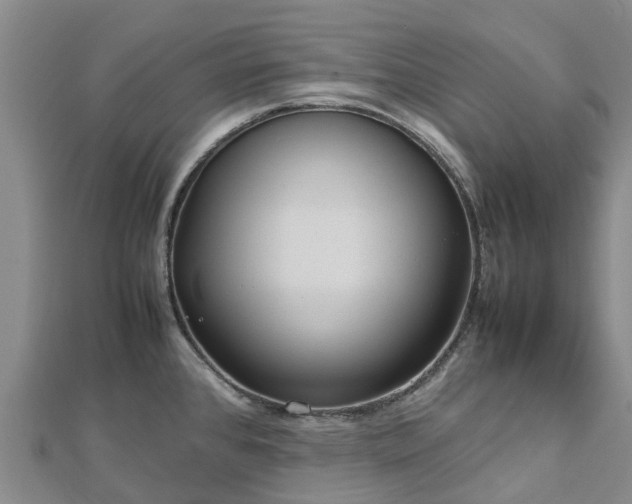 X0000113011384200909031305