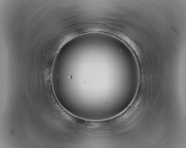 X0000113011385200909031305