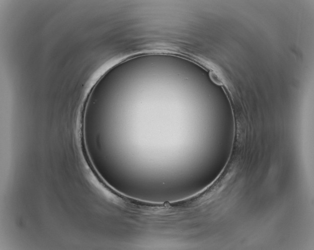 X0000113011387200909031305