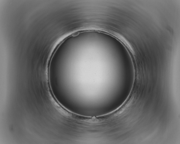 X0000113011388200909031305