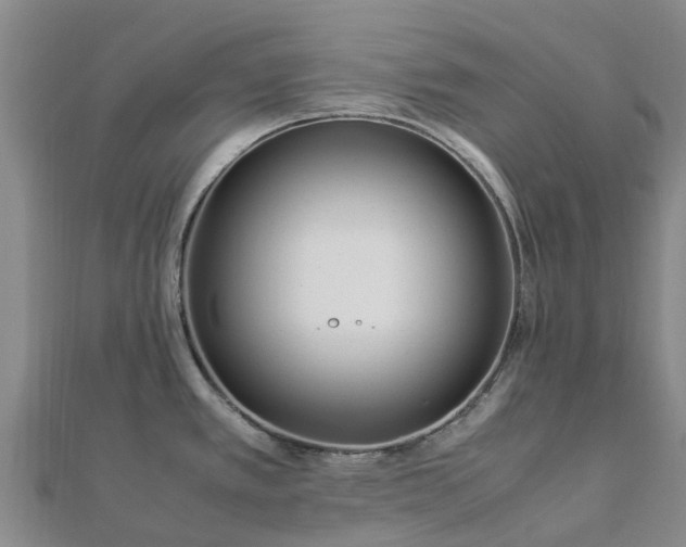 X0000113011389200909031305