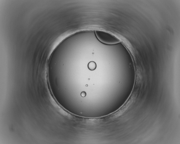 X0000113011390200909031305